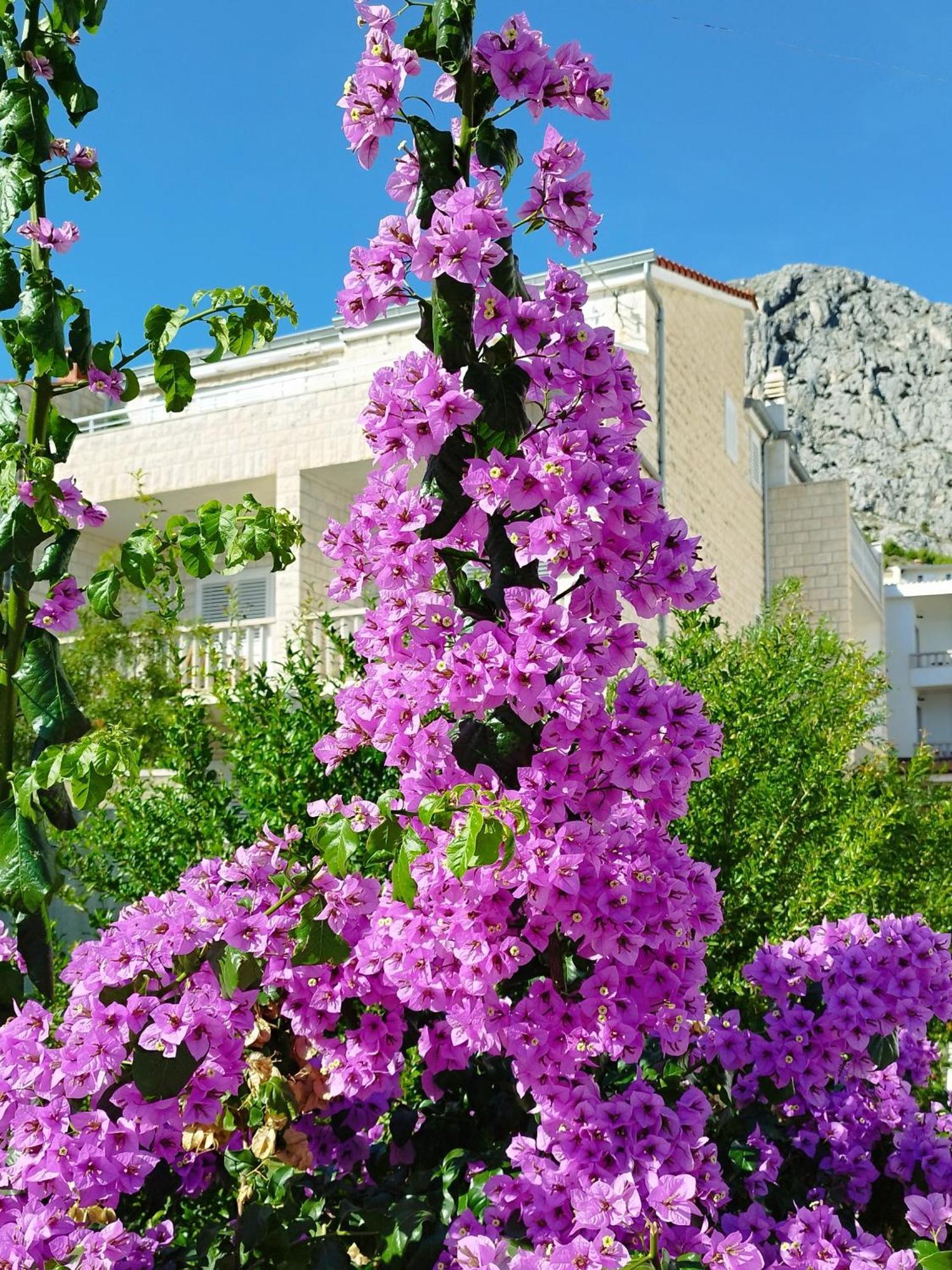 Ferienwohnung Am Sandstrand Омиш Экстерьер фото